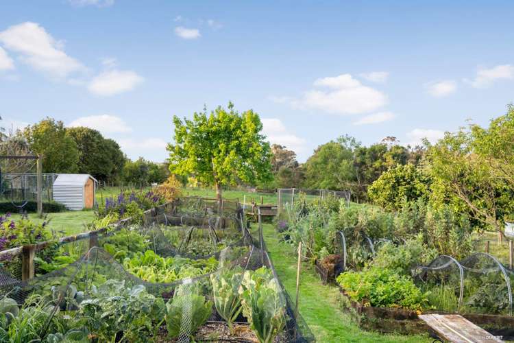 36 Sinclair Road Ararimu_17