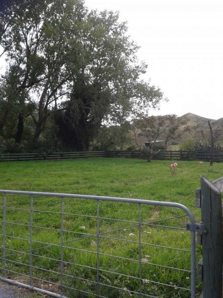 4764 State Highway 3 Awakino_10