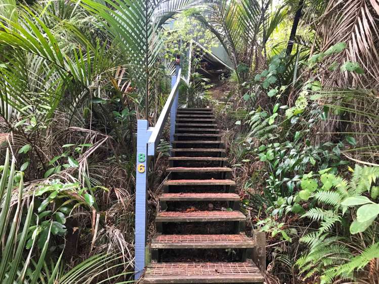 86 Warner Park Avenue Laingholm_13