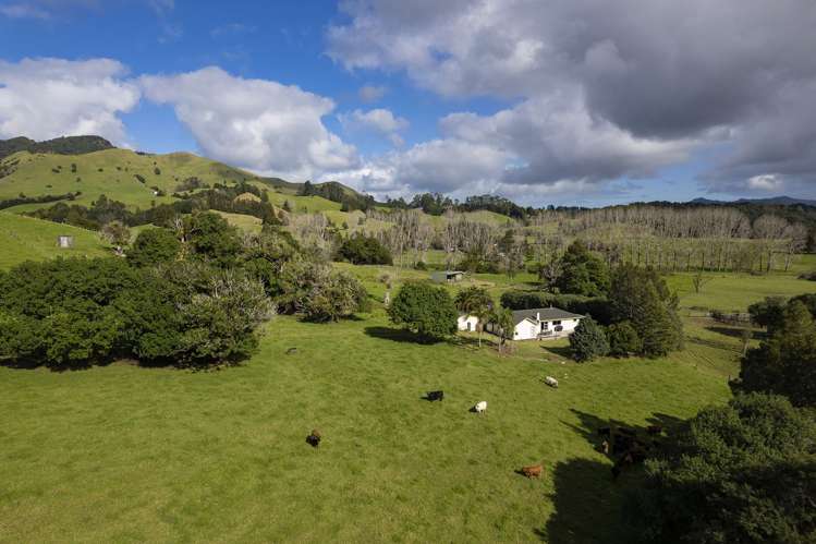 73 Takahue Saddle Road Kaitaia Surrounds_9