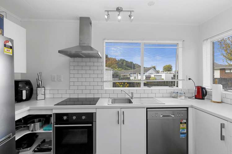 1/4 Beryl Grove Birchville_4