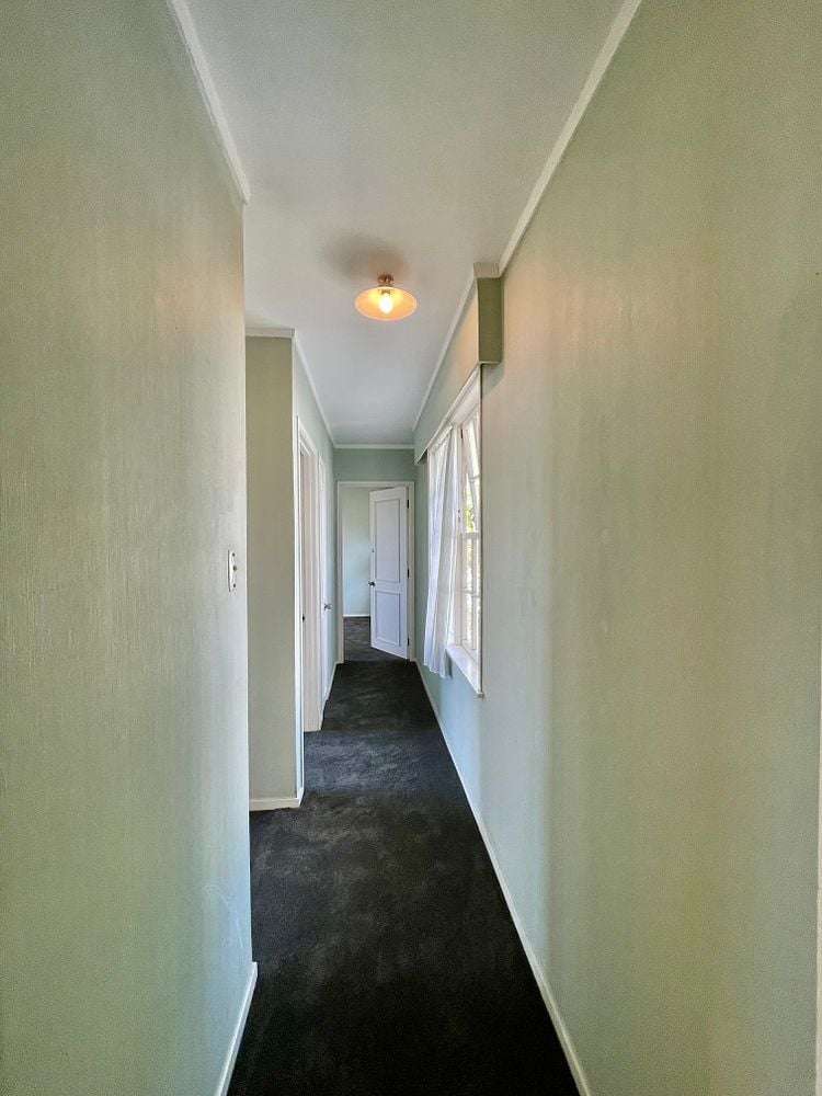 2/277 Manukau Road Epsom_14