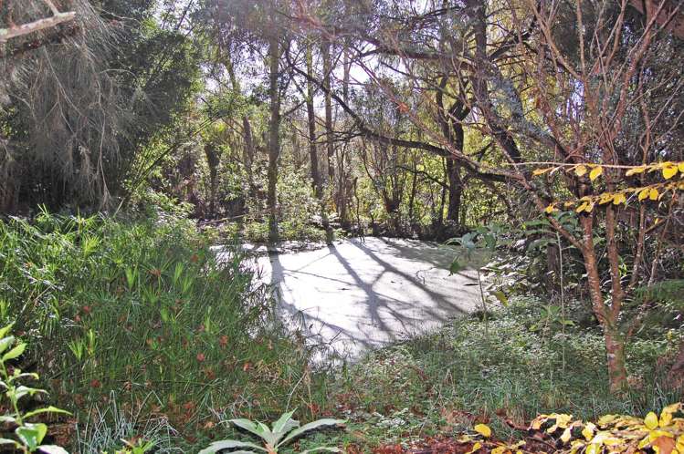 364 Oneriri Road Kaiwaka_11