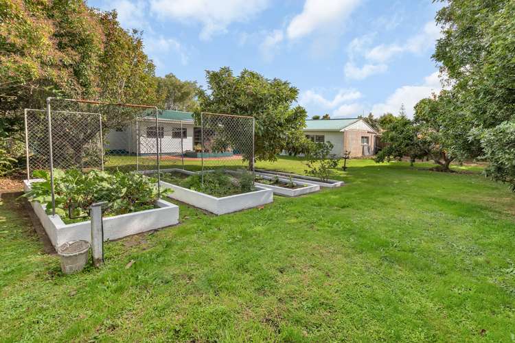 10 Denby Crescent Tikipunga_23