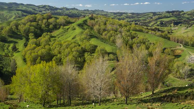 851 Clifton Grove Road Gladstone_13