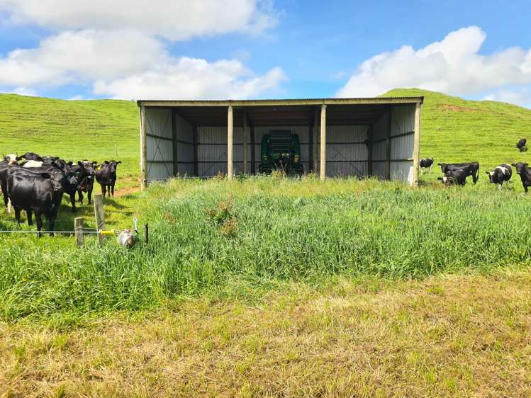 0n Parihaka Road Pungarehu_7