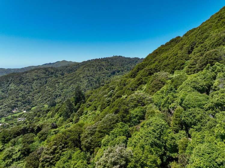 180 Totaranui Road Wainui Bay_13