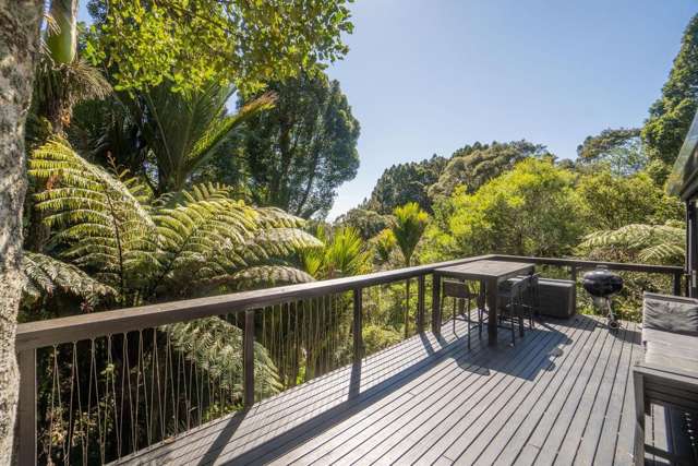 43 Kohu Road Titirangi_3