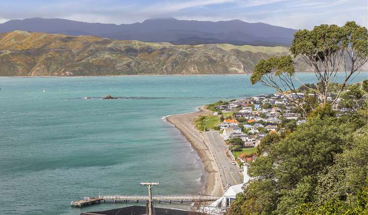 20 Newport Terrace Seatoun_1