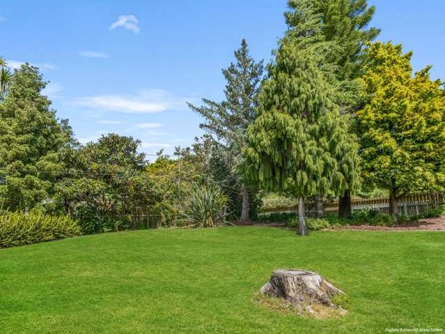 105 Portland Road Whangarei_4