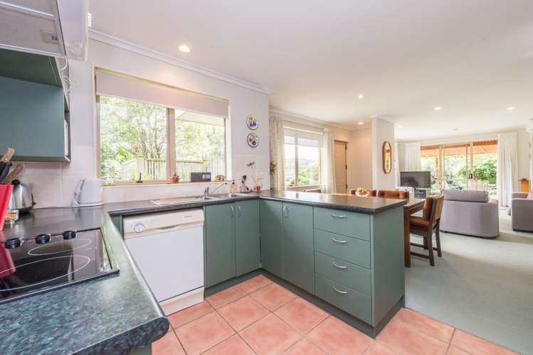 51 Cabeleigh Drive Helensville_3