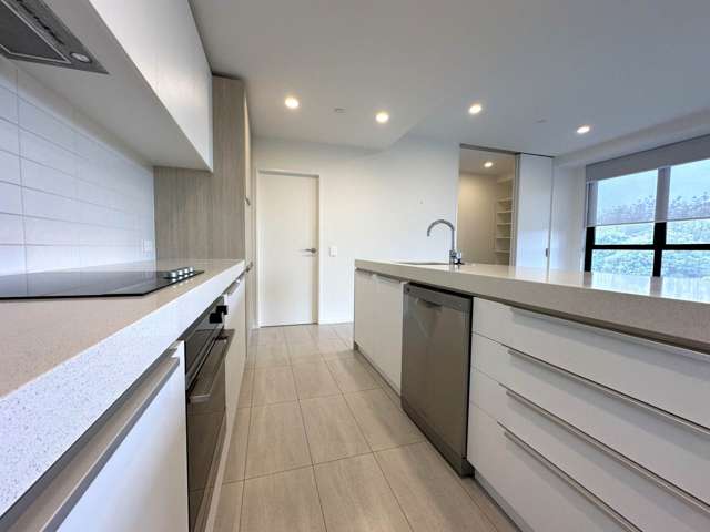 208/189 College Road Stonefields_4