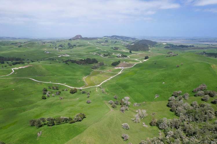 3050 Mititai Road Dargaville_14