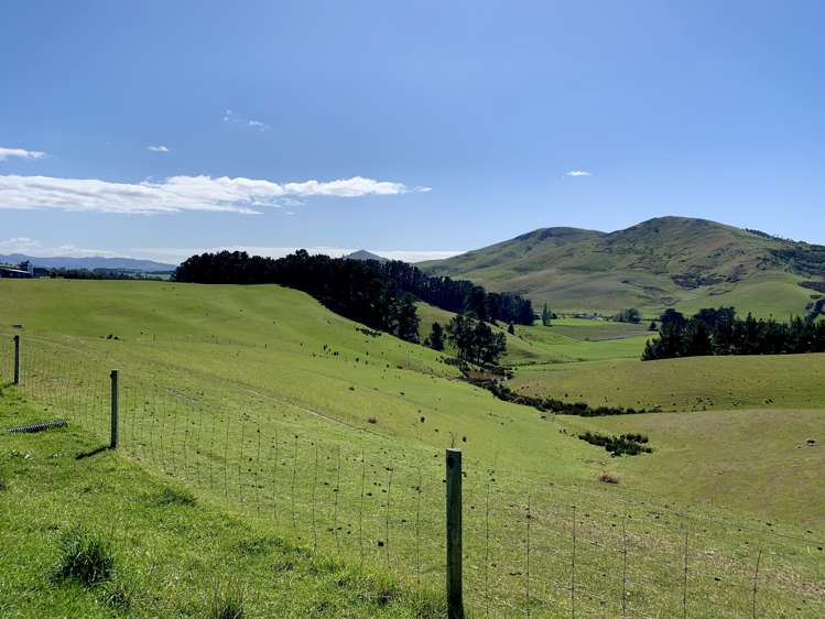 79 Patterson Road Flag Swamp_8