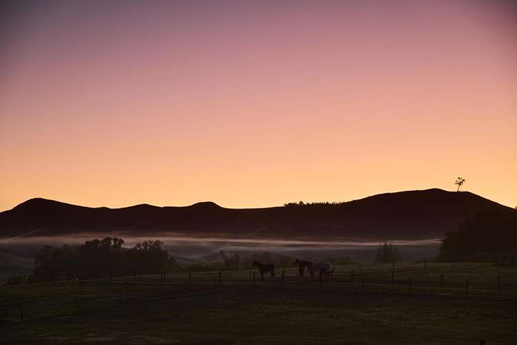 1549 Raukawa Road Raukawa_27
