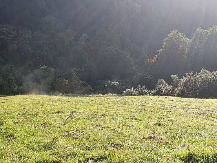 Blue Spur Road Hokitika_3