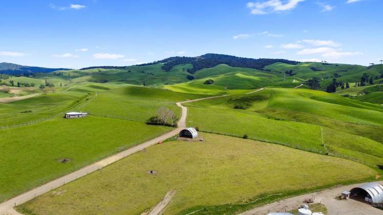 258 Paratu West Road Richmond Downs_17