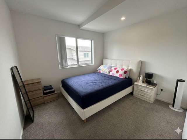 Wyllie Road Papatoetoe_1