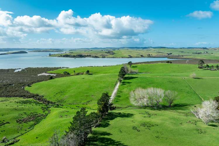 450 Neems Road Matakohe_5