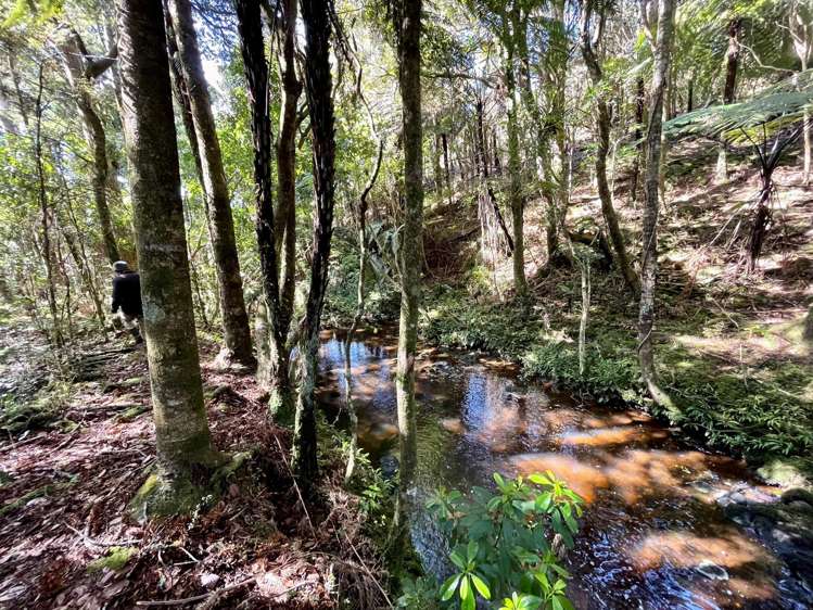 1104 Puketotara Road Okaihau_20