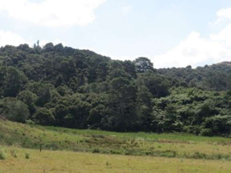 314 Martin Road Waerenga_16