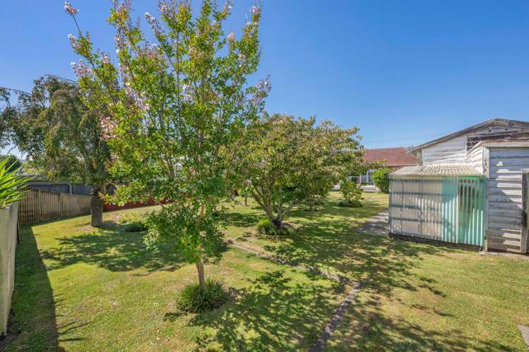 19 Murphys Road Springlands_18
