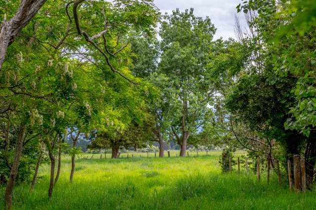 106 Cross Line Greytown_2