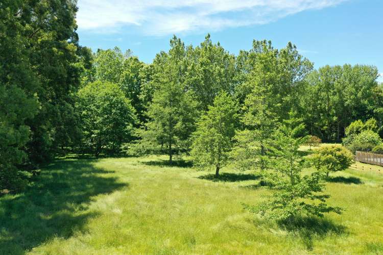 126e Woodcock Road Tamahere_13