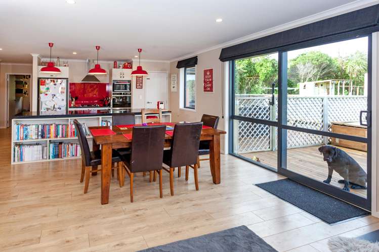 150 Beech Lane Coromandel_9