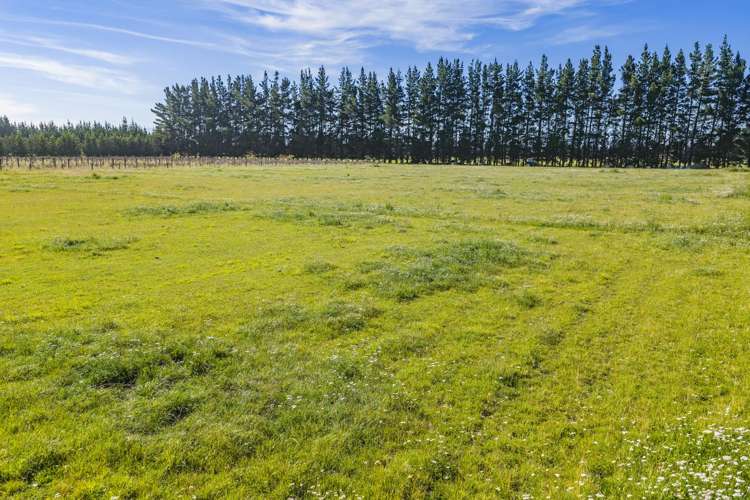 1490 Tram Road Swannanoa_35