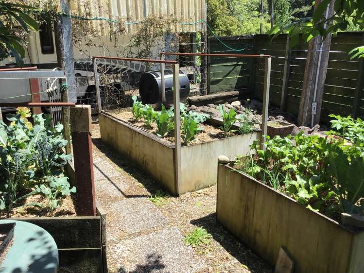 162 Tapu Coroglen Road Tapu_23