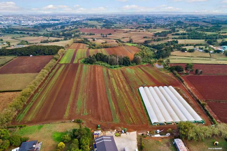 659 Harrisville Road Pukekohe East_4