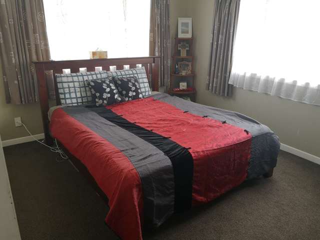 2 Locke Avenue Mount Roskill_2