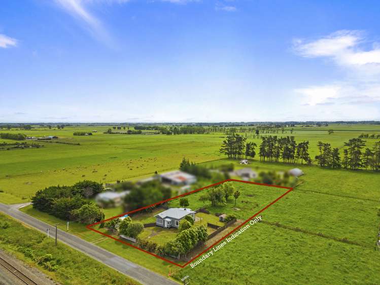 9 Nikau Street Tokomaru_9