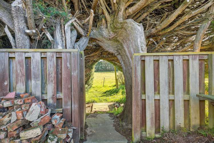 798 South Eyre Road Swannanoa_27