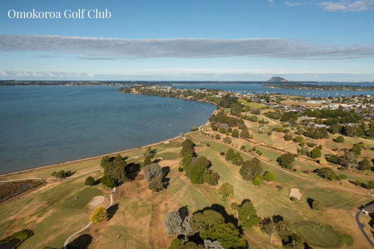 8d Gane Place Omokoroa_19