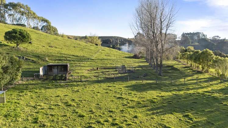 39 County Heights Drive Aokautere_27