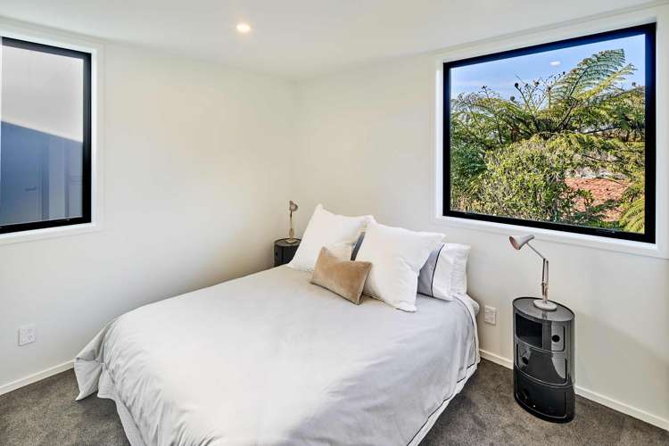 17 Ara Toutouwai Karori_8