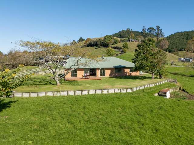 349 Wairoa Road Te Puna_1