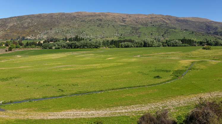 Riverbank Road Wanaka_7