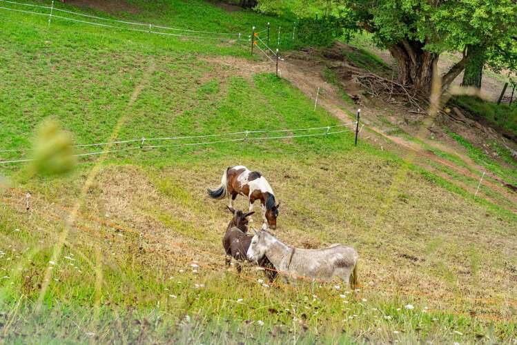 59 Ashton Road & Birdsall Road, Whangateau Leigh_43