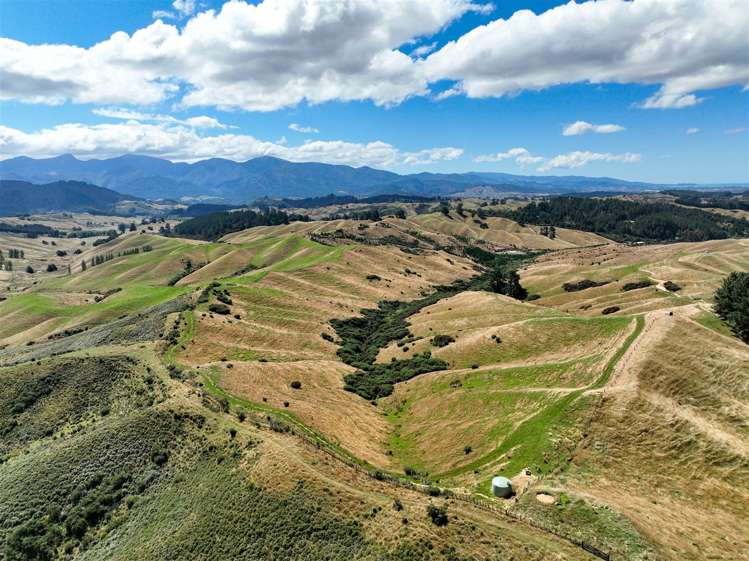 223 Rose Road Upper Moutere Tasman Houses for Sale One Roof