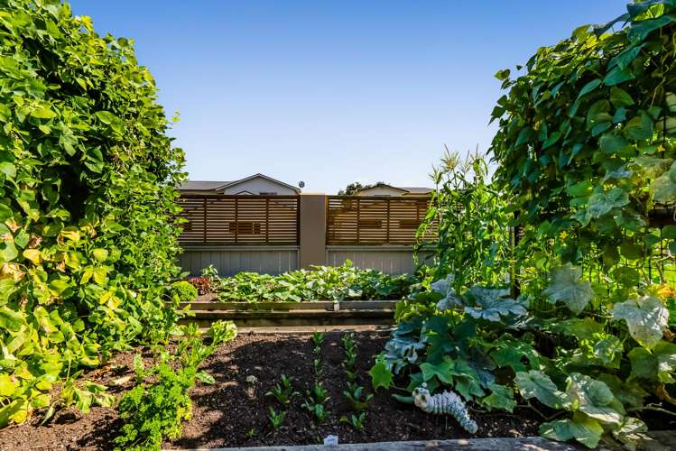 2 Parkvue Drive Bell Block_33