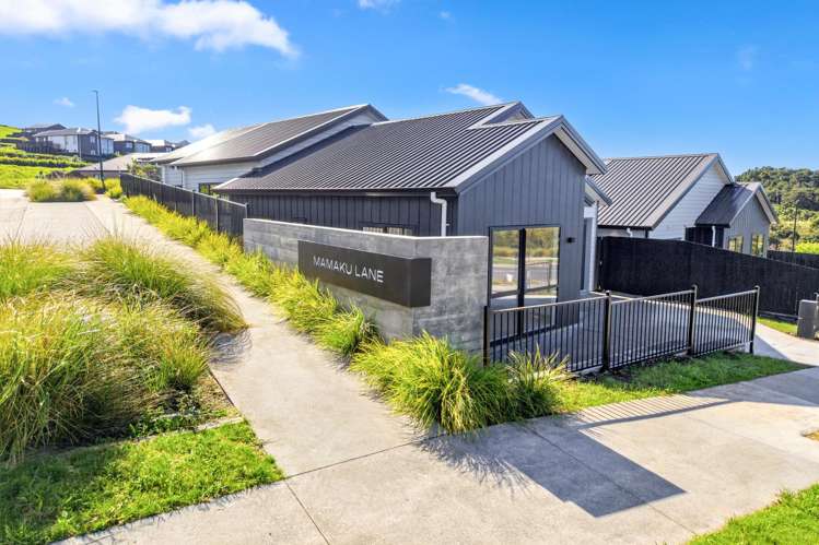 39 Puhinui Avenue_1