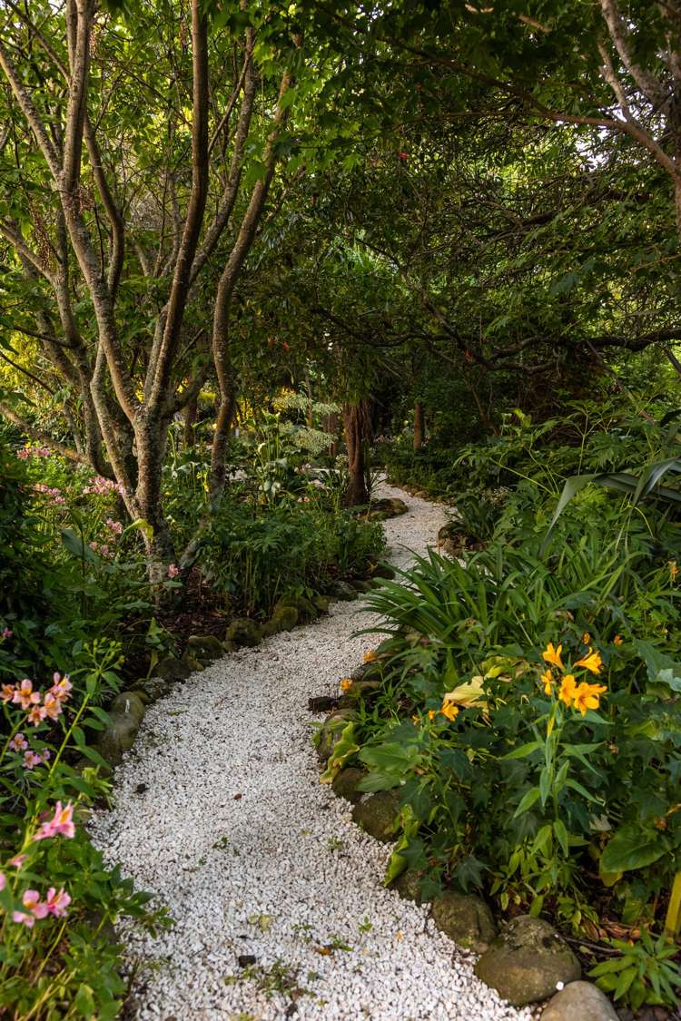 1048 State Highway 63 Wairau Valley_18