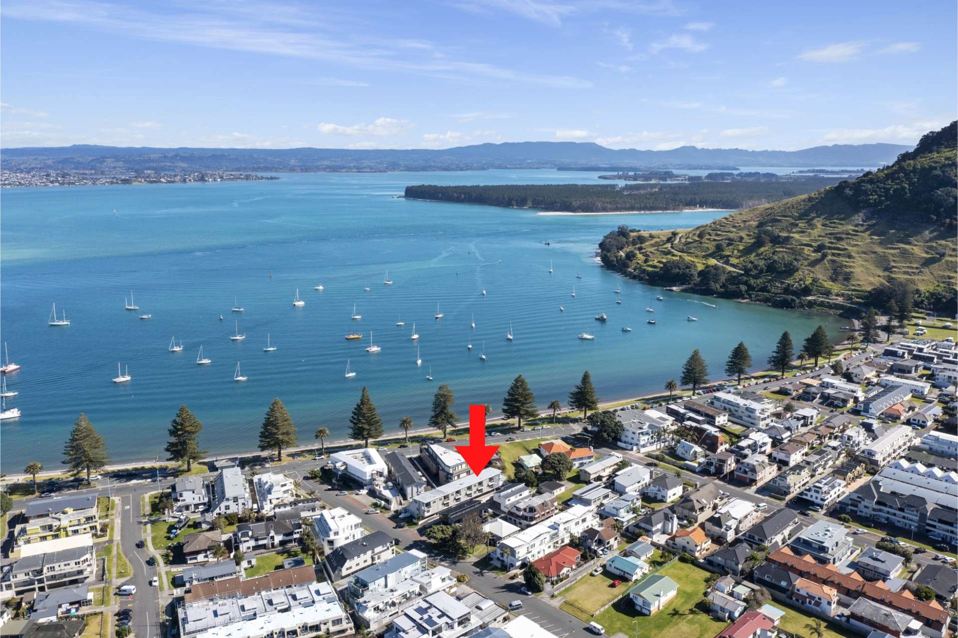 3e Grace Avenue Mount Maunganui_0