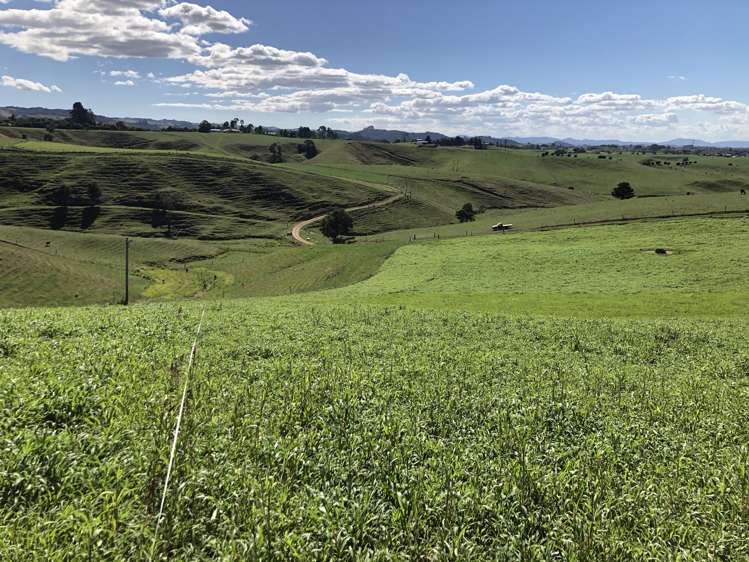 35 Grove Access Road Te Pahu_1