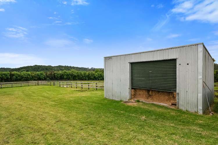 51 Glenmore Road Coatesville_15