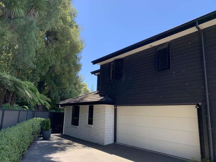 5/1 Brooklyn Road Claudelands_0