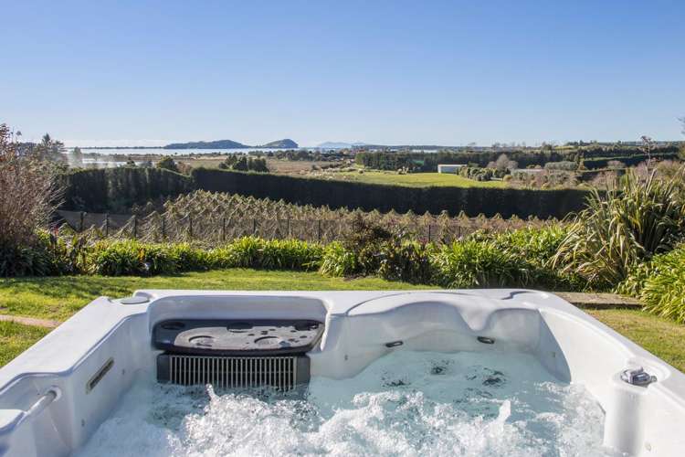 252 Tuapiro Road Katikati_17